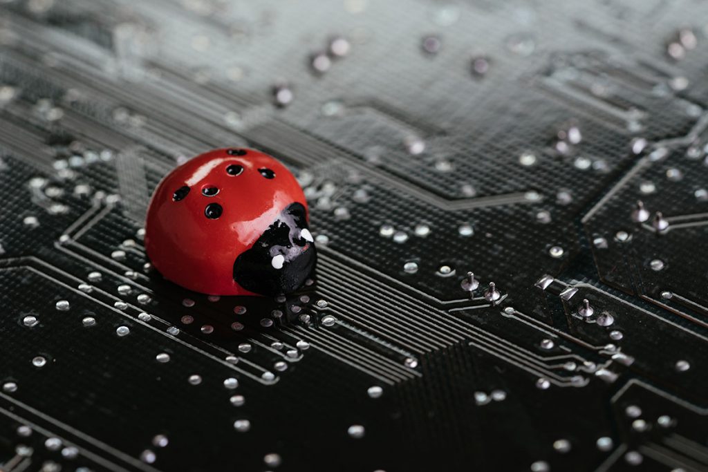 Ladybird on a printed circuit board