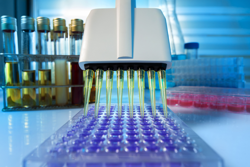 Multi Channel Pipette Loading Biological Samples In Microplate For Test